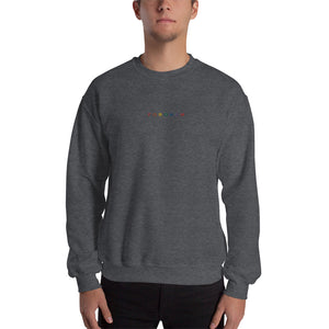 Rainbow Fordham Sweatshirt