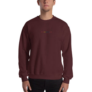 Rainbow Fordham Sweatshirt